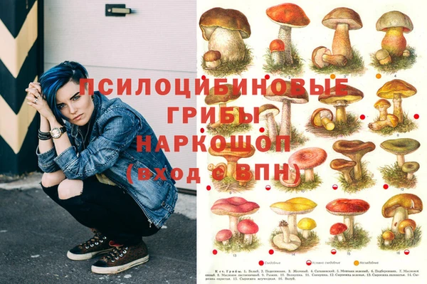 apvp Алексин