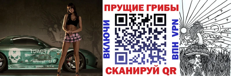 магазин    Пермь  Псилоцибиновые грибы Magic Shrooms 